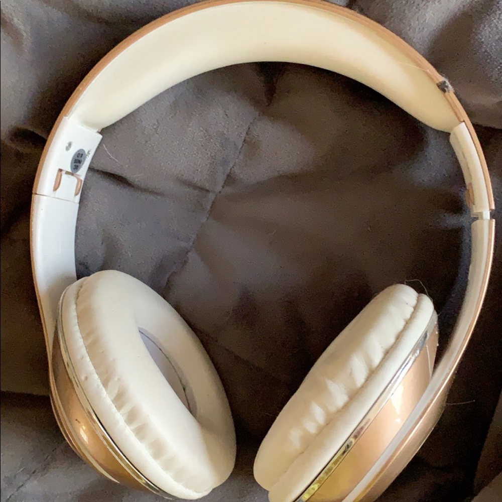 Earphones